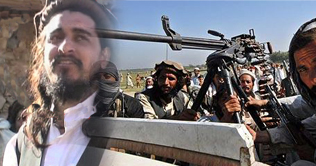 Wali denies differences among Taliban